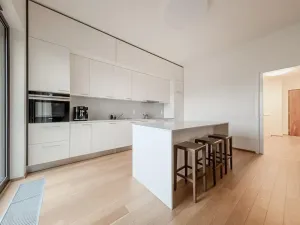 Pronájem bytu 5+kk, Praha - Holešovice, Sanderova, 225 m2
