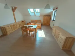 Pronájem bytu 1+kk, Čermná, 44 m2