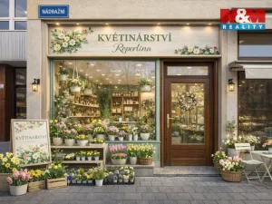 Pronájem obchodního prostoru, Ostrava - Moravská Ostrava, Nádražní, 35 m2