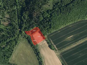 Prodej louky, Bělotín, 7028 m2