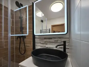 Prodej bytu 2+kk, Praha - Žižkov, Buková, 47 m2