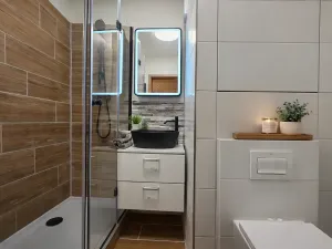 Prodej bytu 2+kk, Praha - Žižkov, Buková, 47 m2