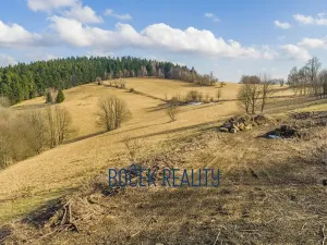 Prodej komerčního pozemku, Žacléř, 34107 m2