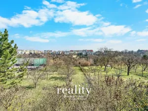 Prodej pozemku pro bydlení, Nový Šaldorf-Sedlešovice, 3000 m2