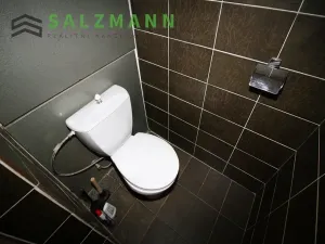 Pronájem bytu 1+1, Plzeň, K Pecím, 46 m2