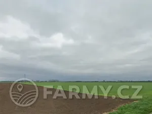 Prodej podílu pole, Pravčice, 27890 m2