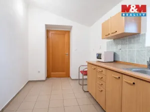 Prodej obchodního prostoru, České Budějovice - České Budějovice 1, Hradební, 615 m2