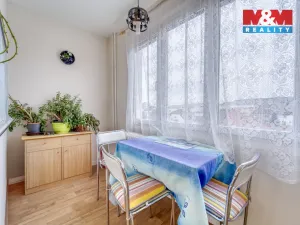 Pronájem bytu 1+1, Plzeň, Železničářská, 41 m2