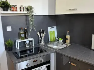 Pronájem bytu 2+1, Teplice, Lípová, 80 m2