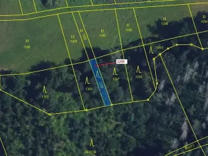 Dražba lesa, Spešov, 114 m2