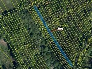 Dražba lesa, Kelníky, 1069 m2