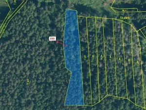 Dražba lesa, Kovčín, 3476 m2