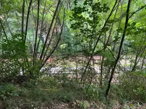 Pronájem zahrady, Křivoklát, 770 m2