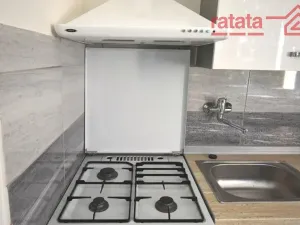 Pronájem bytu 2+1, Jirkov, Hornická, 53 m2