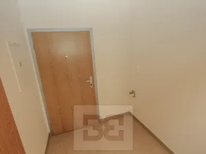 Pronájem bytu 1+kk, Praha - Holešovice, Varhulíkové, 49 m2