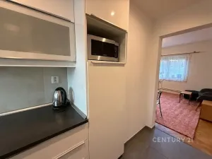 Pronájem bytu 2+1, Praha - Záběhlice, Roztylské sady, 56 m2