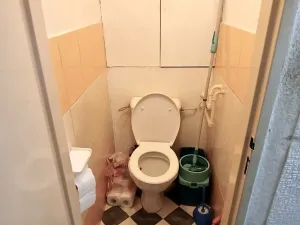 Prodej bytu 2+1, Trutnov, Procházkova, 54 m2