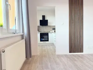 Pronájem bytu 1+1, Liberec, Bezová, 39 m2