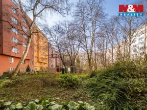 Prodej bytu 2+kk, Praha - Žižkov, Viklefova, 53 m2