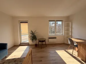 Pronájem bytu 1+kk, Mladá Boleslav - Mladá Boleslav II, Čechova, 26 m2