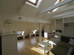 Pronájem bytu 1+1, Praha - Braník, Na Mlejnku, 41 m2