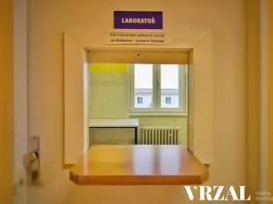 Pronájem ordinace, Plzeň, Francouzská třída, 80 m2