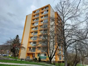 Prodej bytu 2+1, Beroun, Branislavova, 63 m2