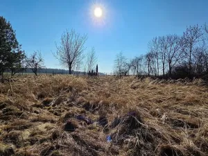 Prodej komerční, Raková u Konice, 229 m2