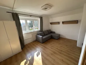 Pronájem bytu 1+1, Velké Hamry, 41 m2
