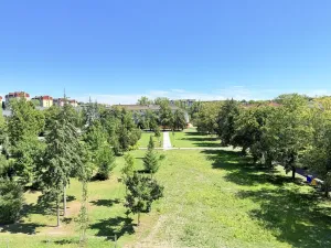 Pronájem bytu 2+kk, Milovice - Mladá, Slepá, 31 m2