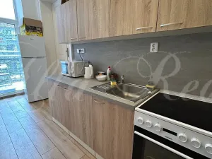 Pronájem bytu 5+kk, Brno - Ponava, Pionýrská, 15 m2