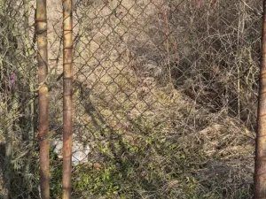 Prodej zahrady, Štětí, 1018 m2