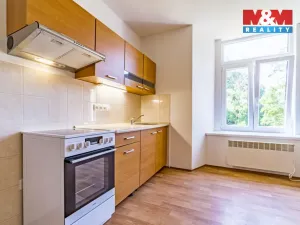 Pronájem bytu 1+kk, Vlčice, 41 m2