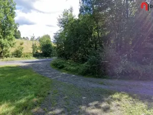 Prodej podílu lesa, Zlatá Olešnice, 574 m2