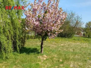 Prodej pozemku pro bydlení, Mikulovice, 1350 m2