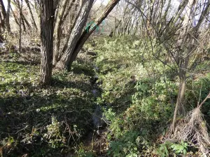 Prodej louky, Kamenice, 1863 m2