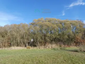 Prodej louky, Kamenice, 1863 m2