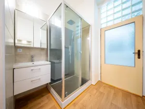 Pronájem bytu 2+kk, Brno, Svatopetrská, 42 m2