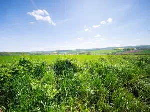 Prodej pozemku pro bydlení, Bučovice, 3623 m2