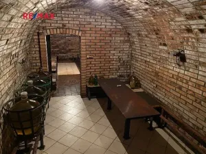 Prodej vinného sklepa, Moravany, 60 m2