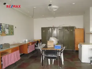 Prodej komerční nemovitosti, Strážovice, 270 m2