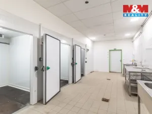 Prodej obchodního prostoru, Frýdek-Místek - Frýdek, Dobrovského, 1150 m2