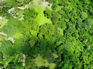 Prodej pozemku, Coxen Hole, Roatán, Honduras, 2090 m2