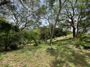 Prodej pozemku, Coxen Hole, Roatán, Honduras, 1821 m2