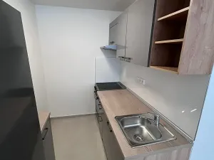 Pronájem bytu 2+kk, Litoměřice, Alfonse Muchy, 41 m2