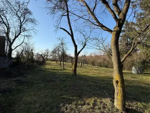 Prodej rodinného domu, Prace, K Mohyle míru, 185 m2