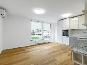 Pronájem bytu 3+kk, Praha - Bubeneč, Mlýnská, 96 m2