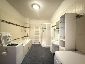 Pronájem bytu 3+kk, Pardubice - Zelené Předměstí, Nerudova, 122 m2