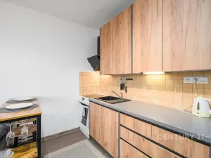 Pronájem bytu 1+kk, Ústí nad Labem, Větrná, 20 m2