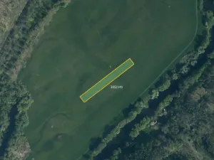 Prodej louky, Bakov nad Jizerou, 2566 m2